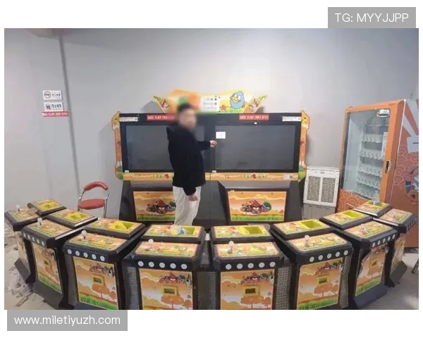 在HO168博士娱乐城享受高品质的真人娱乐游戏体验与多样化的投注选择