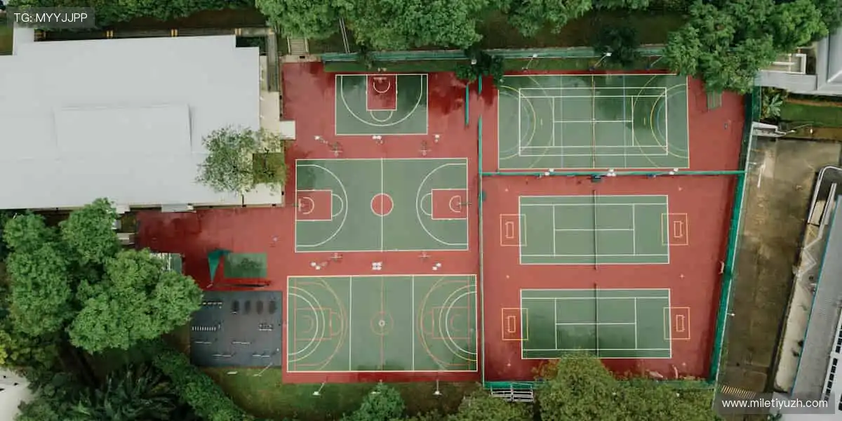 💻 高清直播，把赛场搬进你的屏幕！